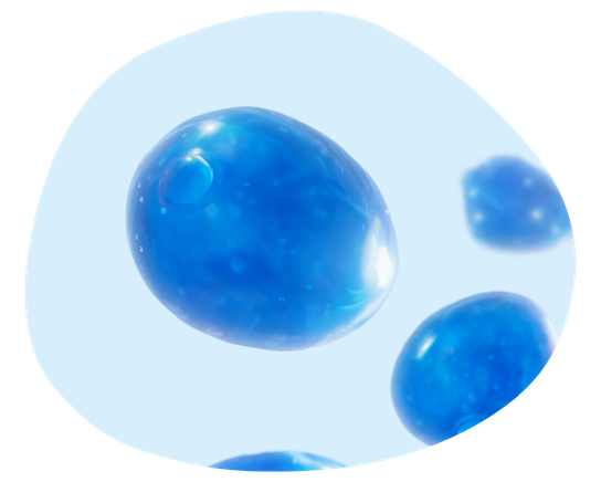 Een probiotische gist: Saccharomyces boulardii CNCM I-745