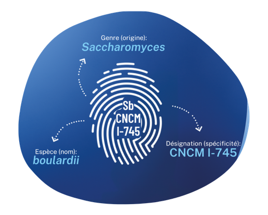 Carte d'identit&eacute; de la souche probiotique unique Saccharomyces boulardii CNCM I-745