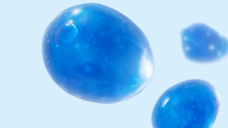 Zoom sur la souche probiotique Saccharomyces boulardii CNCM I-745