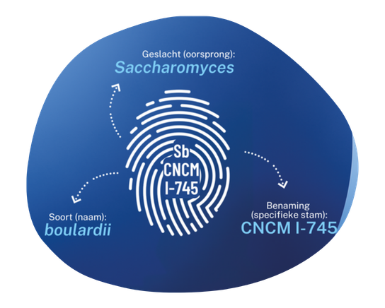 Profiel van de unieke probiotische stam Saccharomyces boulardii CNCM I-745